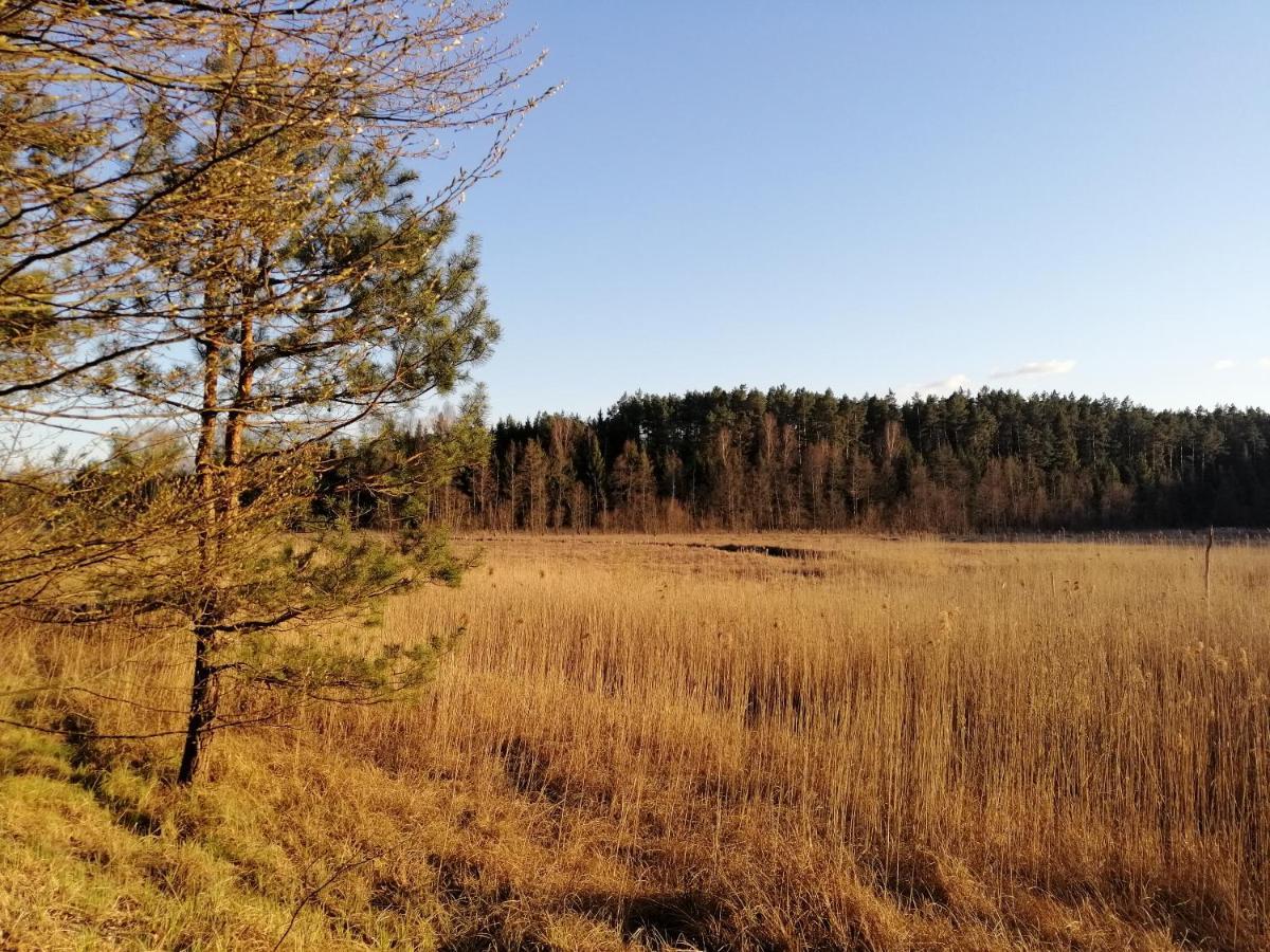 Wodamoja - apartamenty nad jeziorem Stawiguda Zewnętrze zdjęcie