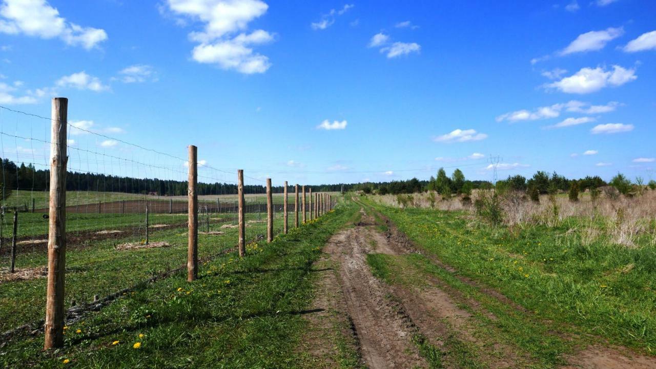Wodamoja - apartamenty nad jeziorem Stawiguda Zewnętrze zdjęcie